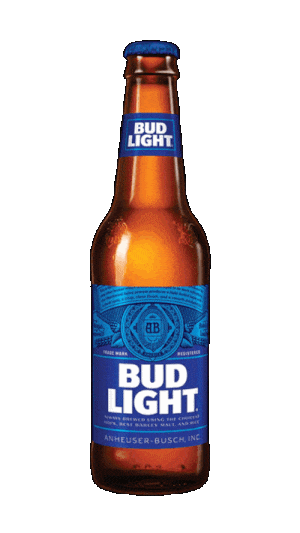 an assortment of American beers