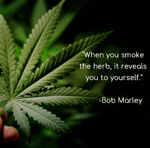  A marijuana leaf on a brightly colored changing background with a Bob Marley quote When you smoke the herb it reveals you to yourself