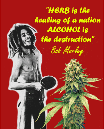  Bob Marley shirtless with a ping pong paddle in the classic green red and yellow colors with the inscription beside it it says herb is the healing of a nation alcohol Is the destruction