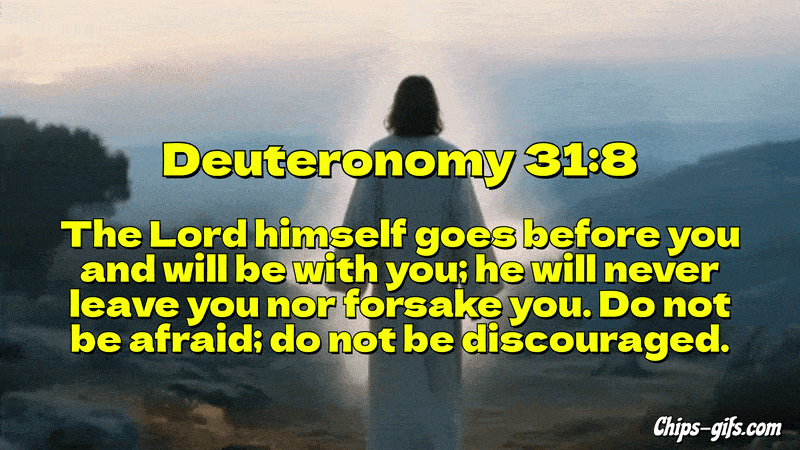 The Bible verse Deuteronomy 31:8 The Lord himself goes before you And will be with you He will never leave you or forsake you