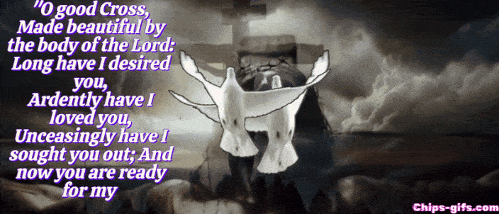 O Good Cross prayer or St Anthony's prayer It's a beautiful prayer about the cross