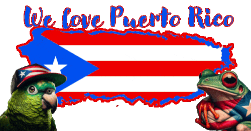  A parrot and a tree frog having a drink over top of the Puerto Rican map with flashing types we love Puerto Rico