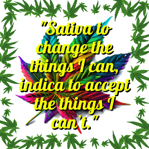 Sativa For the things I can change_Indica for the things I can't