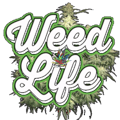 Weed_Life_2