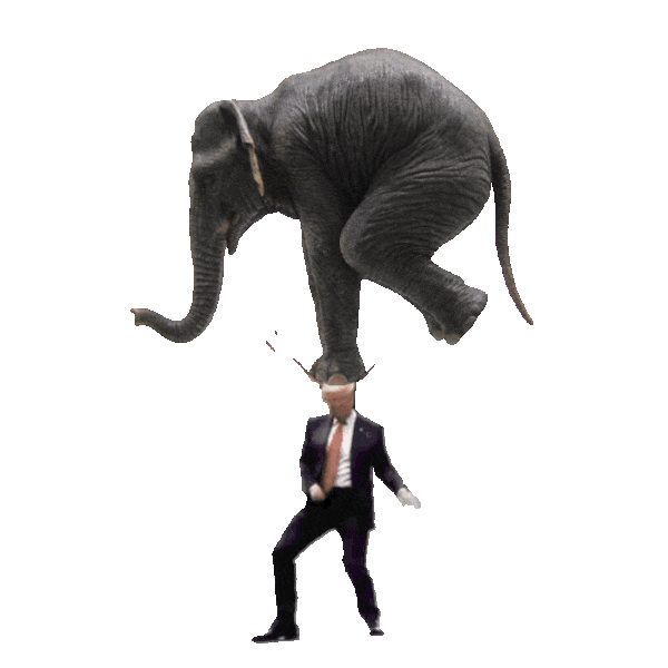 Trump Break dances while balancing an elephant on his head Representing Trump having his way with the GOP