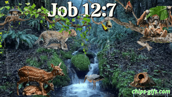 a forest scene with various animals and the bible verse job 12-7 Ask the animals and they will teach you or the birds in the sky and they will tell you