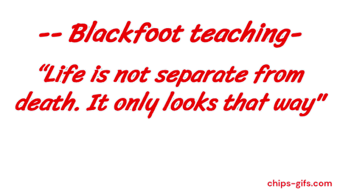  Spirit animals horses, awolf an elk and a Fox Mix with the words 'Life is not separate from death, it only appears that way' On a transparent background