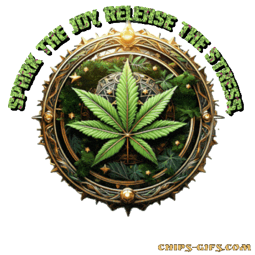  An animated circular design of marijuana leaves with the Jingle ' Spark the joy release the stress, Cannabis cures the daily mess' On a transparent background