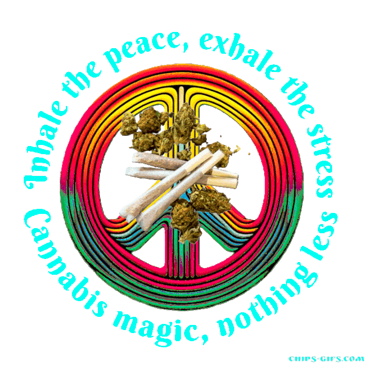  A zippo lighter lights ajoint over top of a neon peace sign With a Jingle around it that says 'Inhale the piece exhale the stress, Cannabis magic nothing less' In bright neon colors