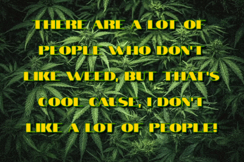 some people dont like weed