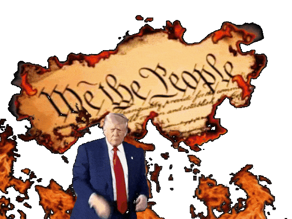  Donald Trump standing in front of a burning Constitution doing his dance when an eagle swoops down pulls a fish out of his head and steals his hair