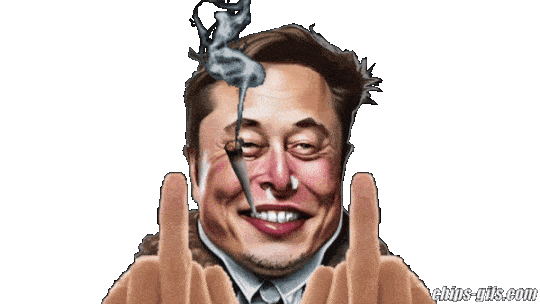 elon flips everyone the bird