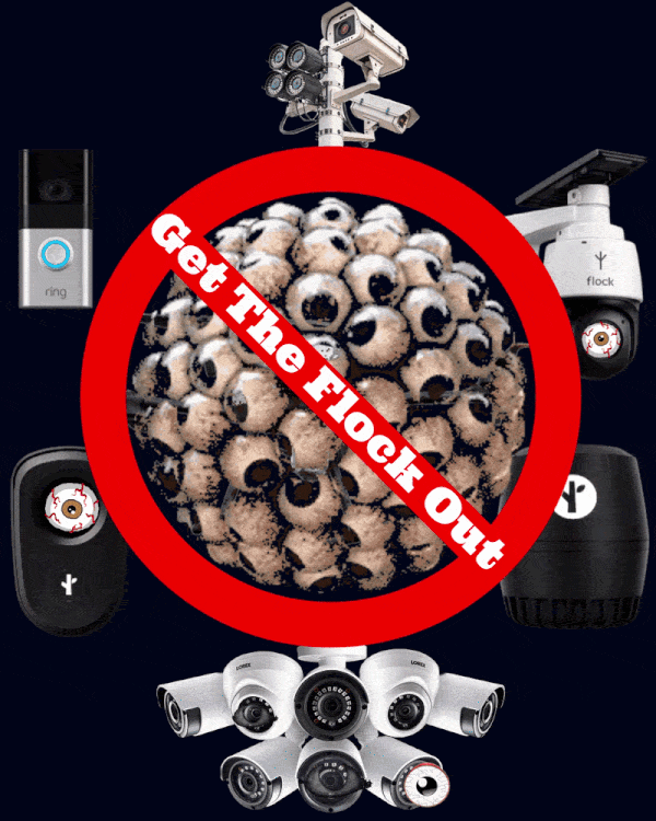 A big ball of eyeballs has a 'no flock' red circle around it Flashing & says 'get the flock out'. It is surrounded by a bunch of flock cameras