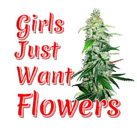  It's a MEME with bold bright type and beautiful marijuana buds Flowers