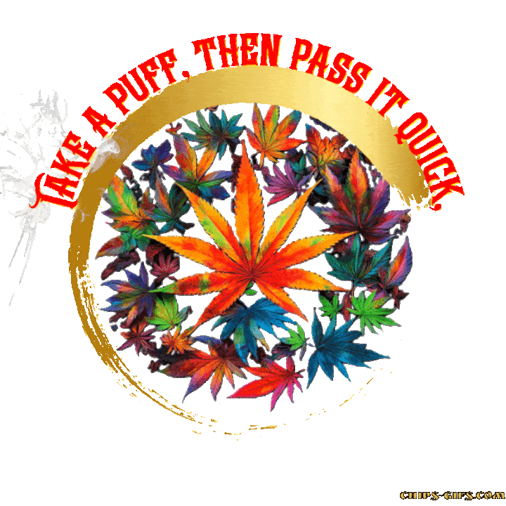  An animated circular design of marijuana leaves with the Jingle Pass it quick no one likes a greedy prick