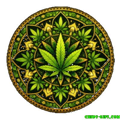neon design with sculls and cannabis leaves and has the message 'High Times' On a transparent background