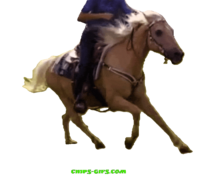  A horseback rider on a transparent background