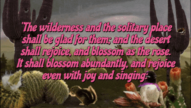 The Bible verse Isaiah 35:1 the desert blooms with the presence of God