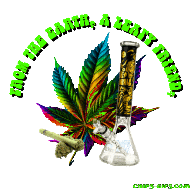 Images of a smoking bong And the hand enters the picture lighting the bong Overlaid with the Jingle around it That says 'From the Earth A leafy friend, Relax and let your mind ascend' On a transparent background
