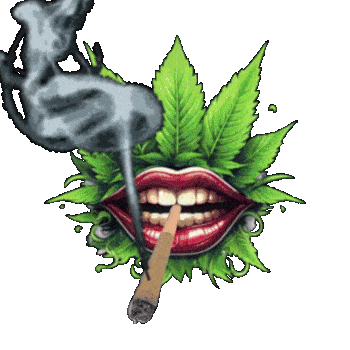 lips Surrounding By Marijuana leaves With smoke rolling off a big blunt spelling out weed life