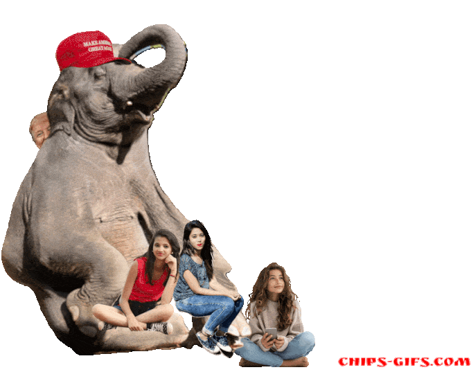 An elephant with a Mega hat sits with three teenager girls sitting on his lap The Bowl type overlaid says Mega equals molesting Adolescent girls allowed