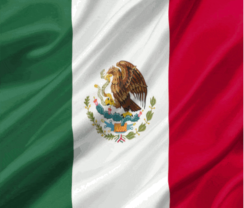 The flag of Mexico saying If you don't want rapists and criminals in your country, Then don't elect one for president