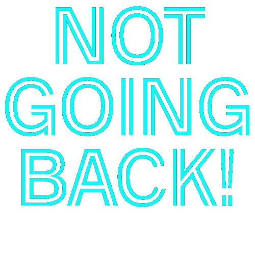  Kamala Harris 2024 Campaign slogan not_going_back