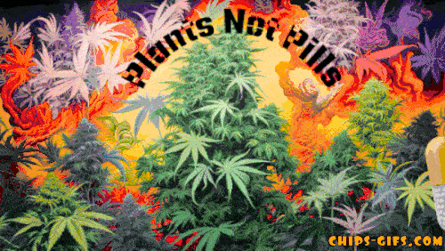 Piants Not Pills