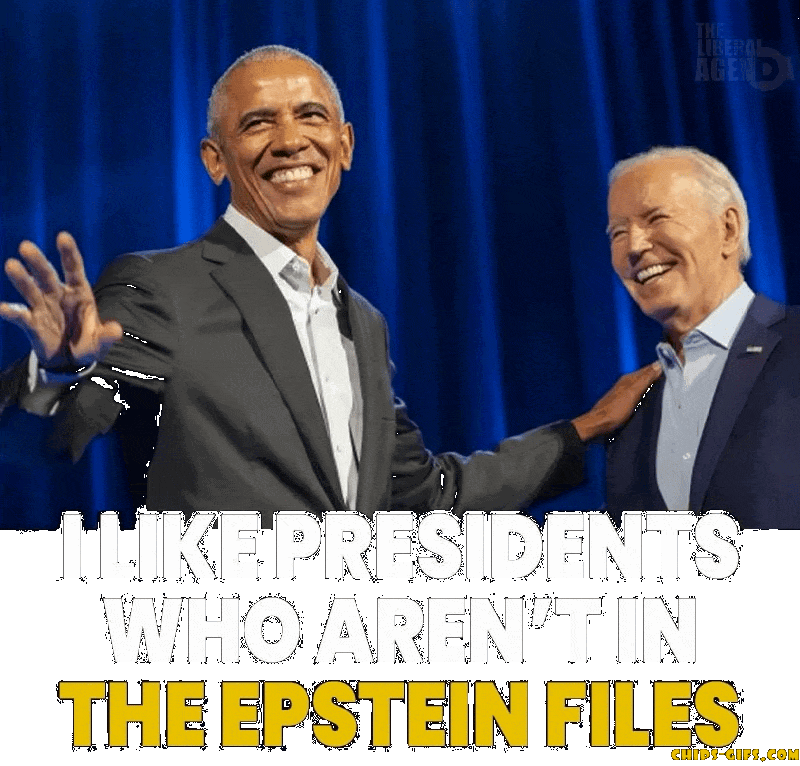 Barack Obama and Joe Biden smiling in front of a blue curtain, with text saying 'I like presidents who aren't in the Epstein files'