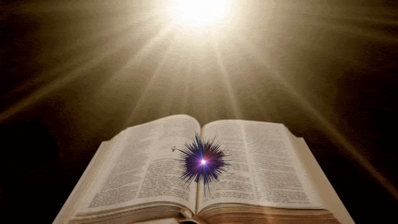  The Bible verse Proverbs 3:5 - Trust in the Lord with all your heart Animated Bible verse.