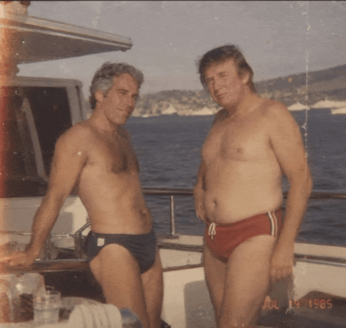  A GIF with Trump standing with Jeffrey Epstein on a boat in their speedos overlaid with a joke that about how Trumps Toupee is like a Speedo