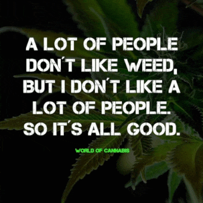 weed_Sayings A lot of people don't like weed but I don't like a lot of people so it's all good
