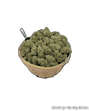  A bowl full of cannabis buds with background colors changing and the flashing words weed chills alcohol kills