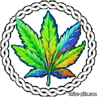 A circular design of weed leaves on a transparent background