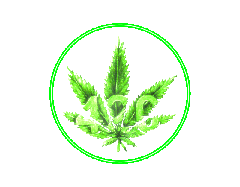  A neon flashing No alcohol sign Then a 420 friendly sign it says When in doubt smoke it out