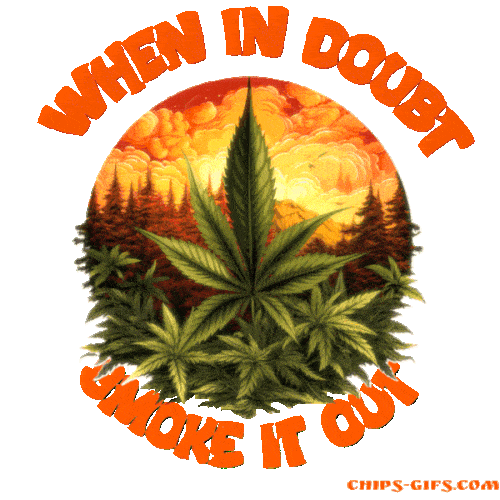  An animated circular design of marijuana field with The sun coming up behind and the Jingle ' When in doubt, smoke it out' On a transparent background