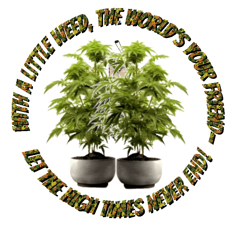 A round transparent weed Jingle With marijuana plants and jars full of weed 'With a little weed the world's your friend Let the High Times never end' circles them